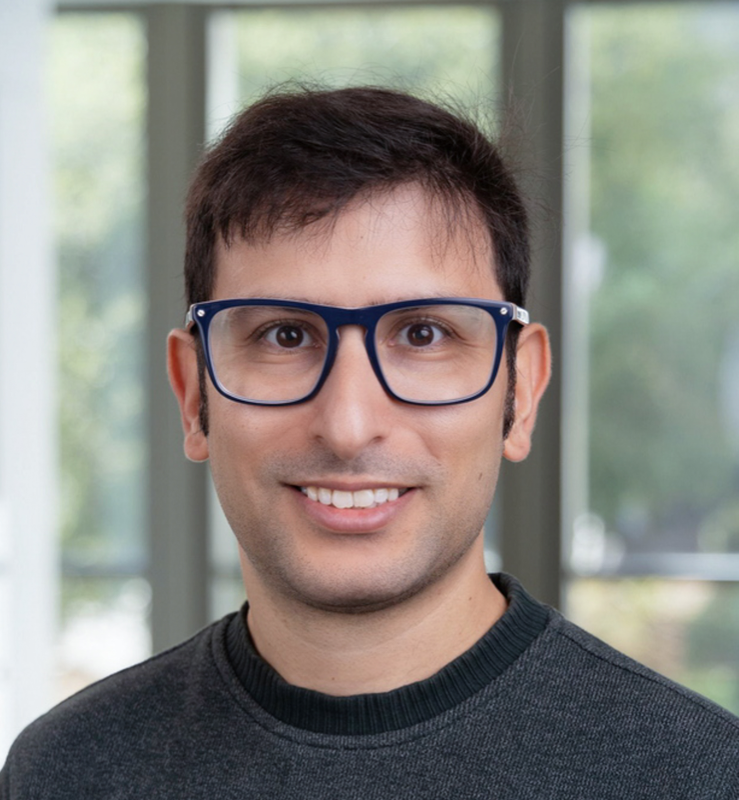 Ehsan Hajiramezanali